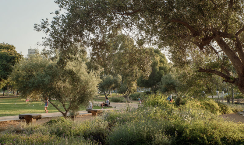 שכונה